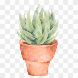 This Graphics Is A Plate Of Aloe Png Transparent About, Png Download