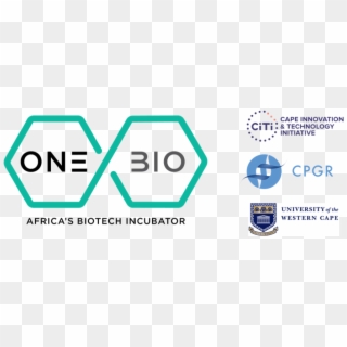 Onebio, In Partnership With Citi And Cpgr, To Run A - University Of The Western Cape, HD Png Download