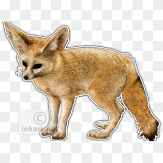 Fennec Fox Clipart Easy Drawing - Fox Species, HD Png Download