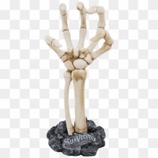 Image Result For Skeleton Hand - Skeleton Hand, HD Png Download