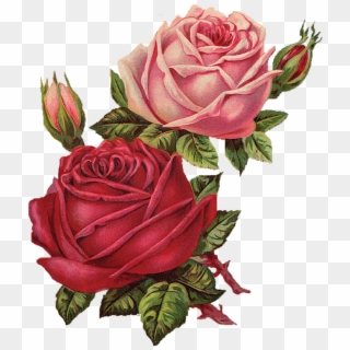#flower Flowers #flores #vintage #flor #rosa #rosespink - Red Roses Vintage Png, Transparent Png