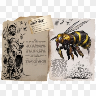 Giant Queen Bee - Giant Bee Ark Ragnarok, HD Png Download