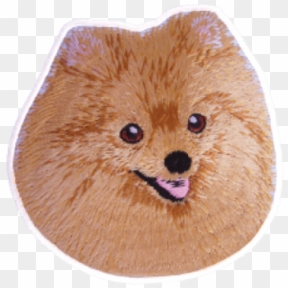 Pomeranian, HD Png Download