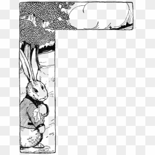 Peter Rabbit Albert Border 03 - Black & White Illustrations Of Peter Rabbit, HD Png Download