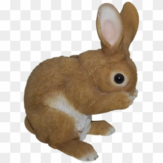 Baby Rabbit Png - Conigli In Ceramica X Giardino, Transparent Png