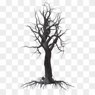 Creepy Tree 04 By Wolverine041269 On Clipart Library - Sketch, HD Png Download