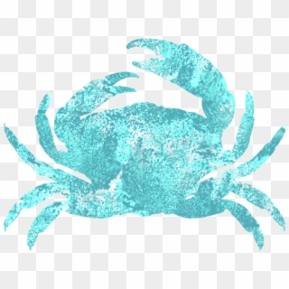 Click And Drag To Re-position The Image, If Desired - Dungeness Crab, HD Png Download