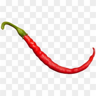 Pepper Png Image - Red Pepper On White Background, Transparent Png