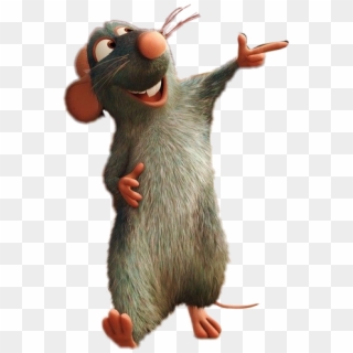 #mouse #ratatouille #rat #remy - Ratatouille Rat, HD Png Download