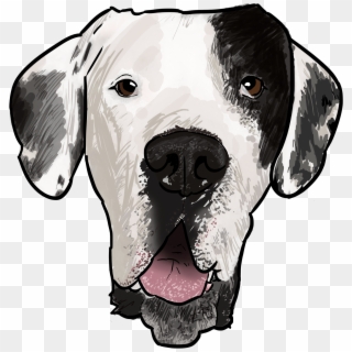 9 Why Are You A Great Dane - Dalmatian, HD Png Download