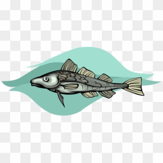 Vector Illustration Of Cod Demersal Marine Fish - Billfish, HD Png Download