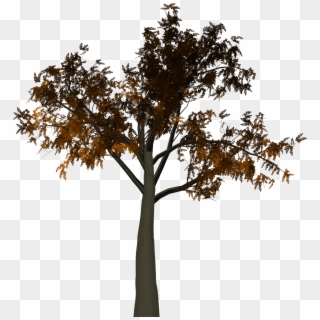 Tree Leaves Autumn Fall Png Image - Silhouette, Transparent Png