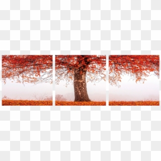 Autumn Tree 3 Piece Wall Decor - Autumn, HD Png Download