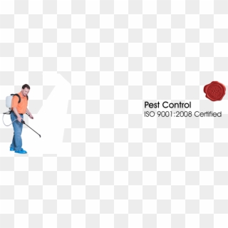Golden Stars - Pest Control Services Banner, HD Png Download