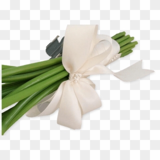 White Calla Lily - Floral Design, HD Png Download