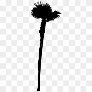 Free Png Palm Tree Silhouette Png - Shadow, Transparent Png