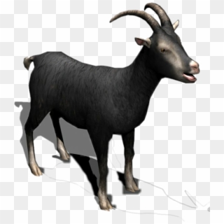 #black #goat #horns #milk #meat #cattle #sheep #eid - Goat, HD Png Download