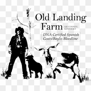 Old Landing Farm Logo - Dairy Cow, HD Png Download