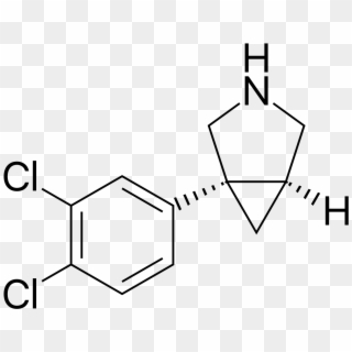 Amitifadine - 2 4 Dichlorophenoxyacetic Acid, HD Png Download