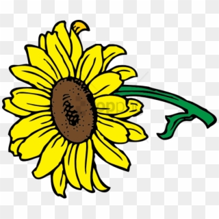 Free Png Sunflower Vector Png Png Image With Transparent - Sunflower Clipart Only, Png Download