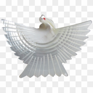 Carved Mother Of Pearl Shell Vintage Peace Dove Pin - Rock Dove, HD Png Download
