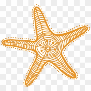 Drawing Starfish Detailed - Estrella De Mar Clipart, HD Png Download