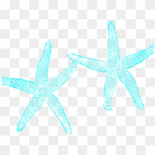 Starfish Clipart Aqua - Fish Clip Art, HD Png Download