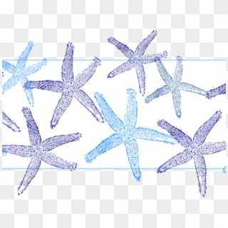 Starfish Clipart Blue Starfish - Fish Clip Art, HD Png Download