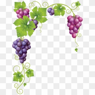 Grapes Vine Clip Art, HD Png Download