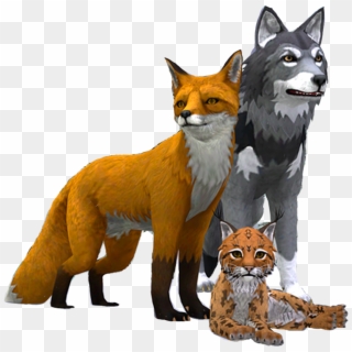 Start Your Adventure As A Wolf, Fox, Lynx And More, - Wildcraft Animal Sim Online 3d, HD Png Download