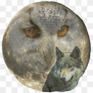 Scmoon Sticker - Full Moon, HD Png Download