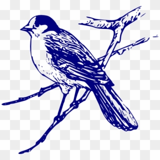 Blue Bird On Branch Drawing, HD Png Download