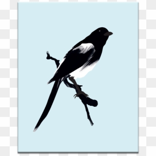 Blue Bird - Eurasian Magpie, HD Png Download