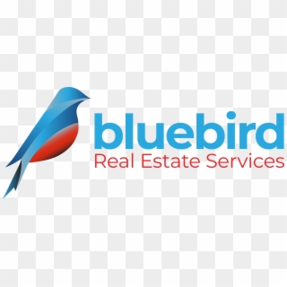 Welcome To Bluebird - Graphic Design, HD Png Download