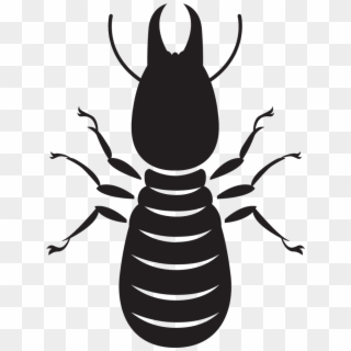 Termites - Cupim Vetor Png, Transparent Png