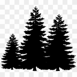 Permalink To Pine Tree Clip Art Winter Clipart - Silhouette Of A Pine Tree, HD Png Download