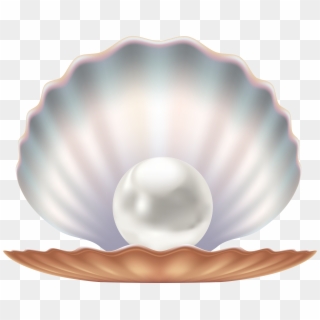 Seashell And Pearl Transparent Image, HD Png Download