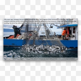 Commercial Ocean Fishing , Png Download - Agriculture Forestry And Fishing, Transparent Png