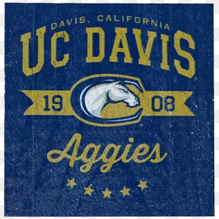 Image For Legacy® Uc Davis Aggie Mascot Wood Block - Uc Davis Aggies, HD Png Download