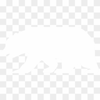 Bear Only White - Silhouette, HD Png Download