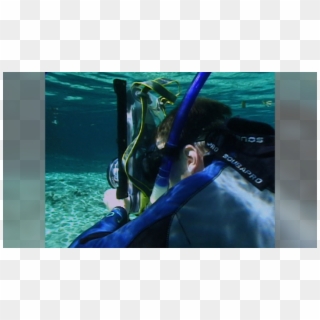 Focusing And Composition - Dry Suit, HD Png Download