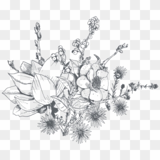 Flower Drawing Png PNG Transparent For Free Download - PngFind