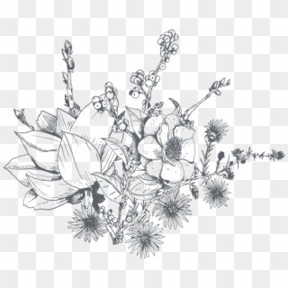 Flower Drawing Png Png Transparent For Free Download Pngfind