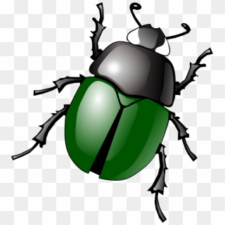 Beetle Clipart, HD Png Download
