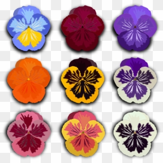 Flower By @jpenrici, A Drawing Of Pansy - Clip Art, HD Png Download