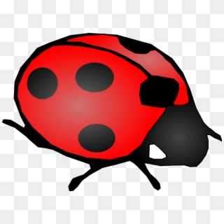 Bug Png, Transparent Png