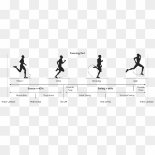 Of Our Run Analysis Include Examining A Runner's Gait - Running Gait Cycle, HD Png Download