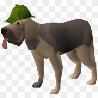 Osrs Clue Scroll Pet, HD Png Download