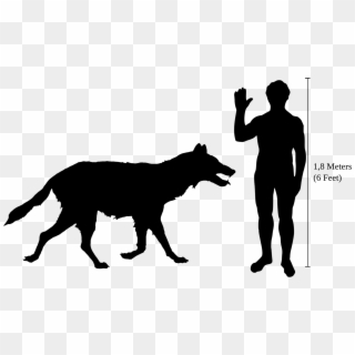 Canis Dirus Size, HD Png Download