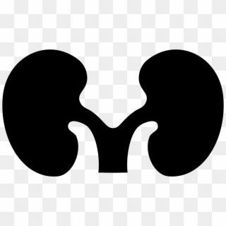 Kidney Silhouette Png, Transparent Png